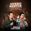 Album cover art for Quero Sentir de Novo