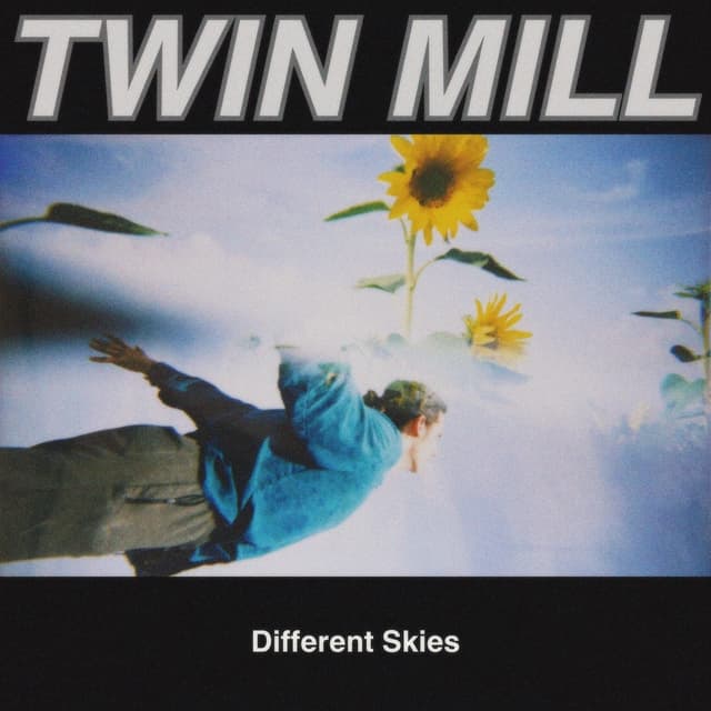 Album cover art for Different Skies