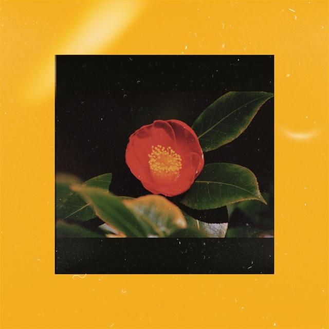 Album cover art for Saying I Love You