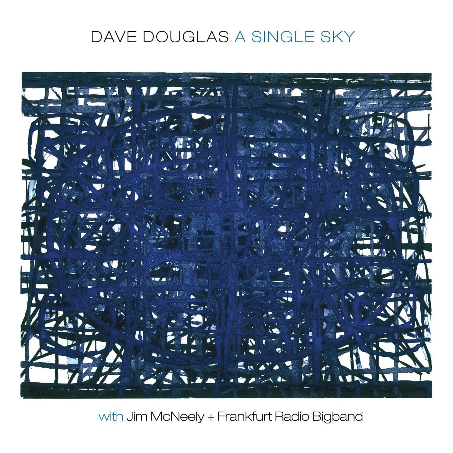 A Single Sky