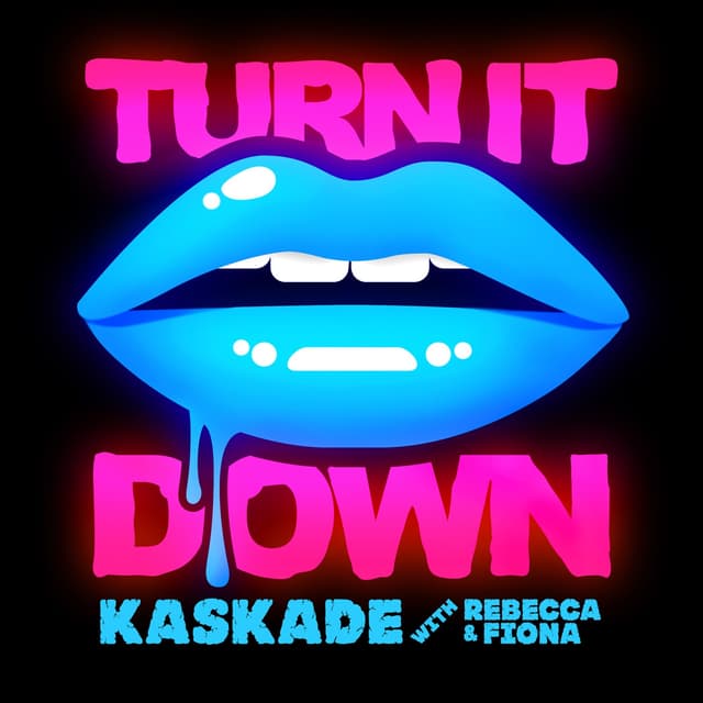 Album cover art for Turn It Down