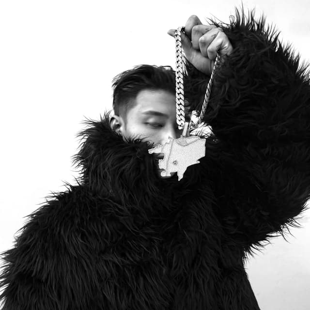 Album cover art for IDOL