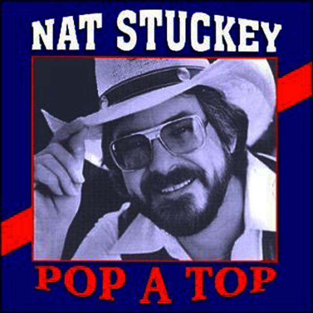 Album cover art for Pop A Top