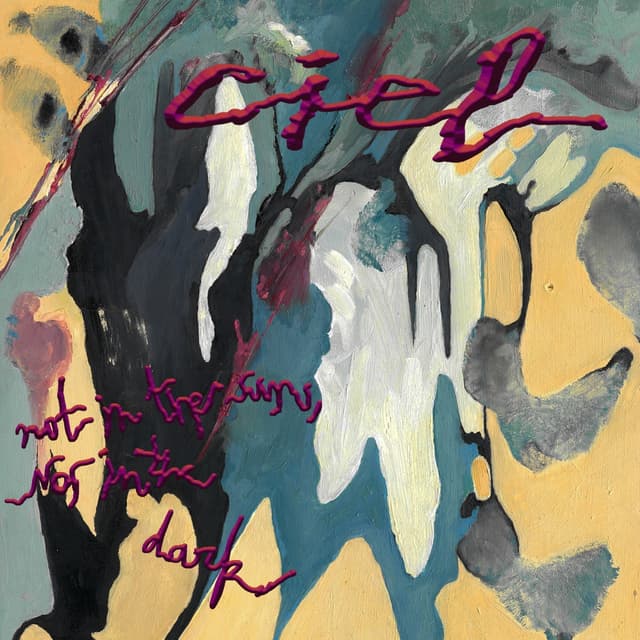 Album cover art for Not In The Sun, Nor In The Dark