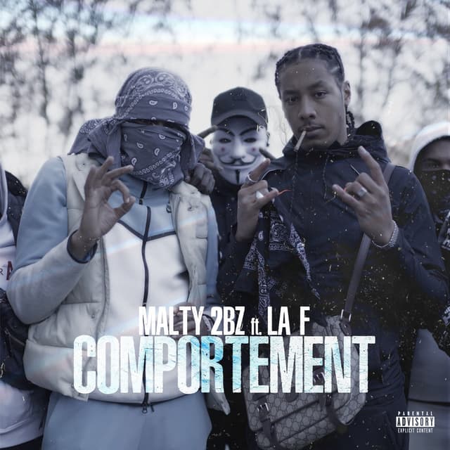 Album cover art for Comportement