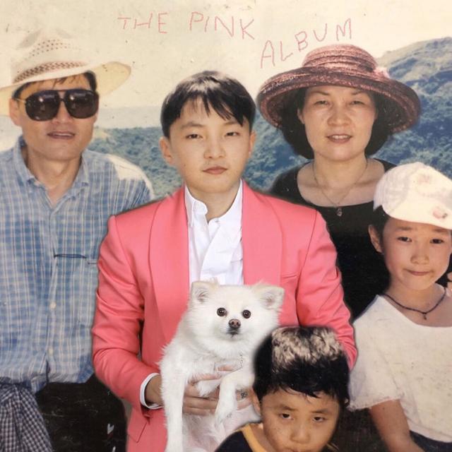Album cover art for The Pink Album