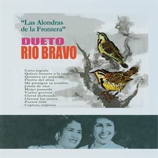 Album cover art for Las Alondras De La Frontera