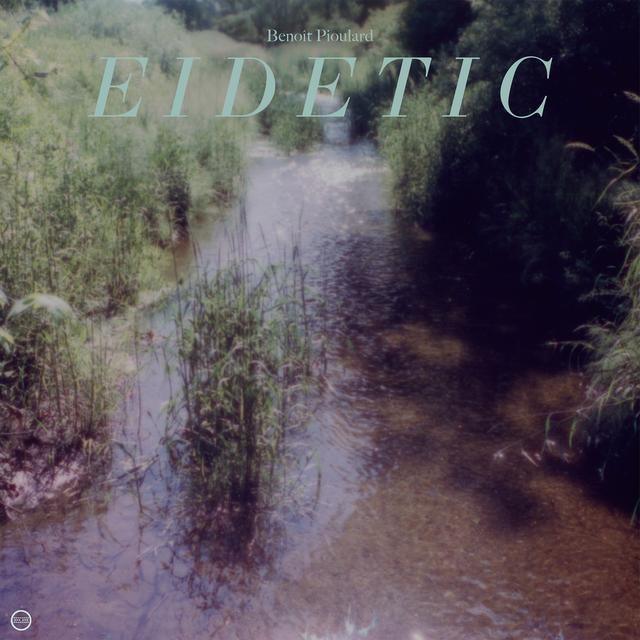 Album cover art for Eidetic