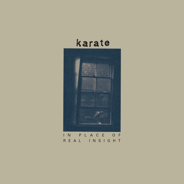 Album cover art for In Place Of Real Insight