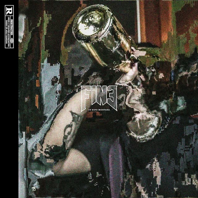 Album cover art for Fine