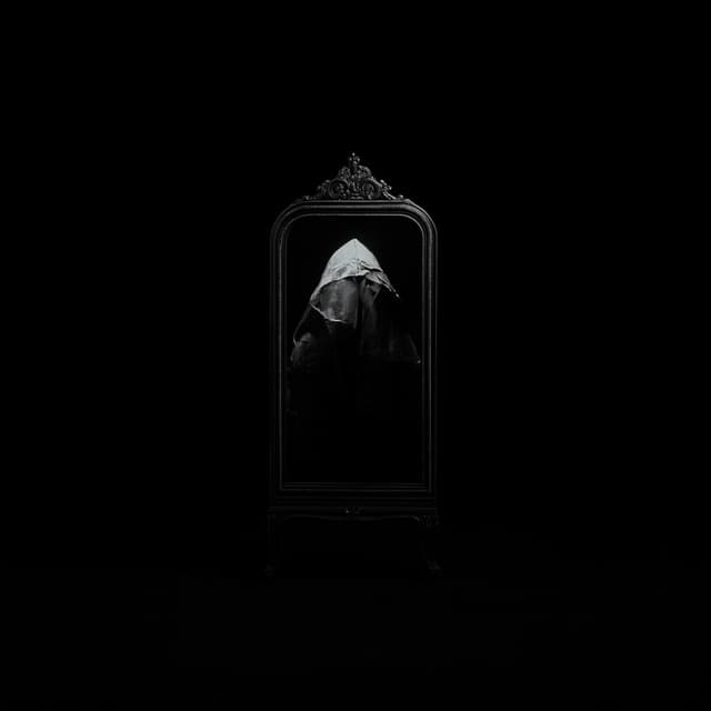 Album cover art for Face the Grief