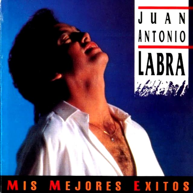 Album cover art for Mis Mejores Exitos