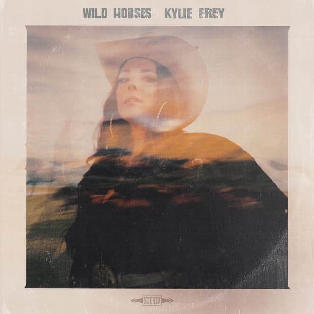 Album cover art for Wild Horses