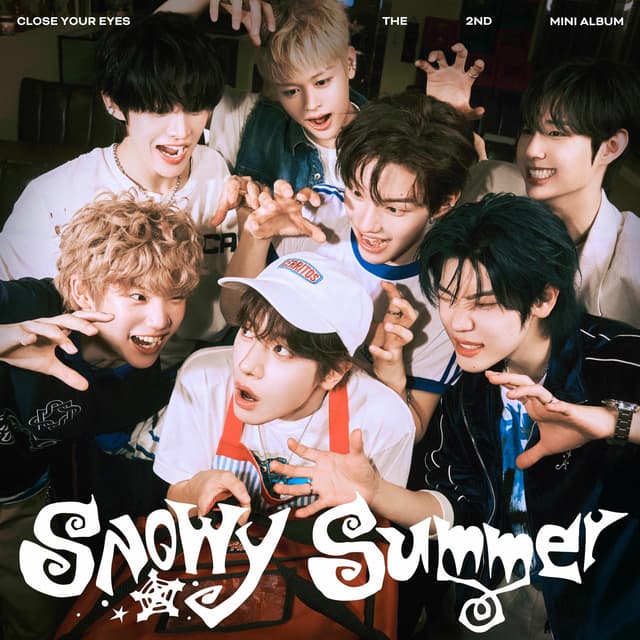 Album cover art for Snowy Summer