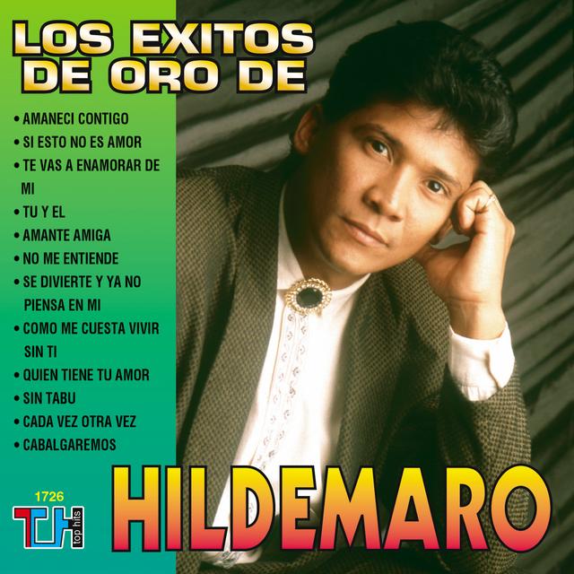 Album cover art for Los Éxitos de Oro de Hildemaro