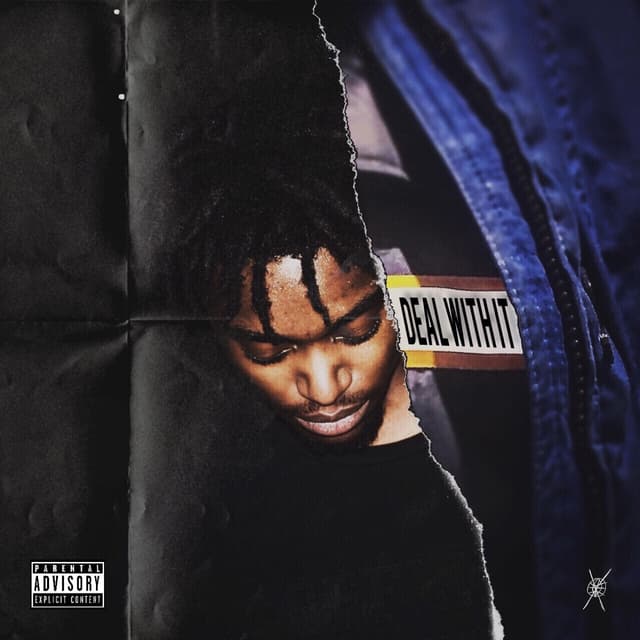 Album cover art for Deal With It