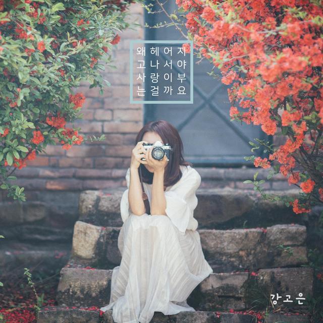 Album cover art for Love Comes After Goodbye