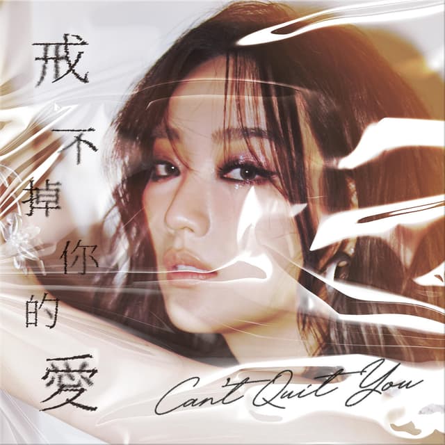 Album cover art for 戒不掉你的愛