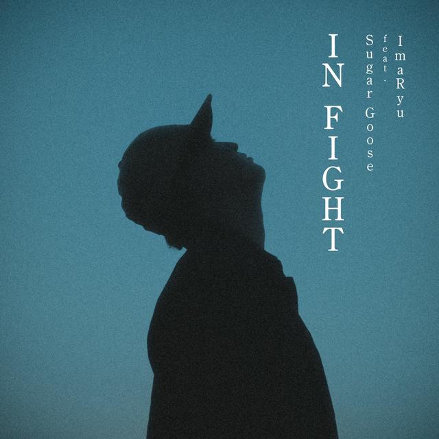 Album cover art for IN FIGHT