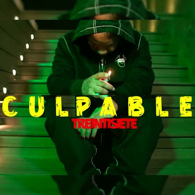 Album cover art for Culpable