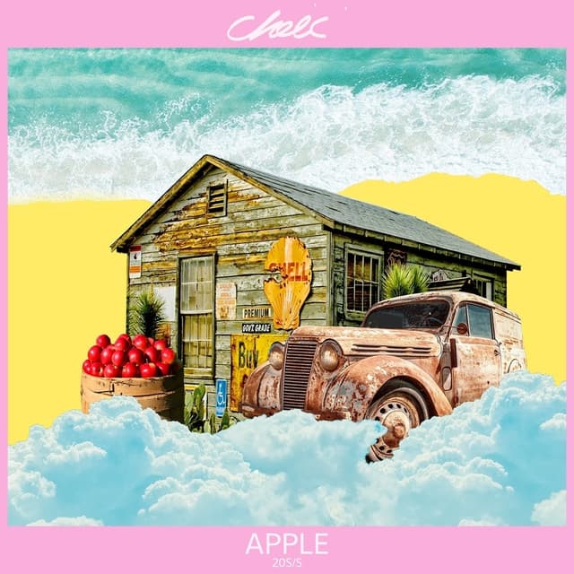 Album cover art for APPLE