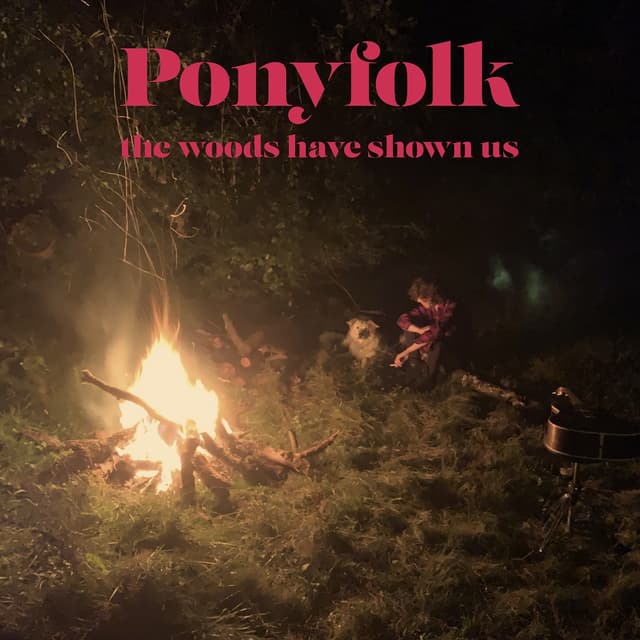 Album cover art for the woods have shown us