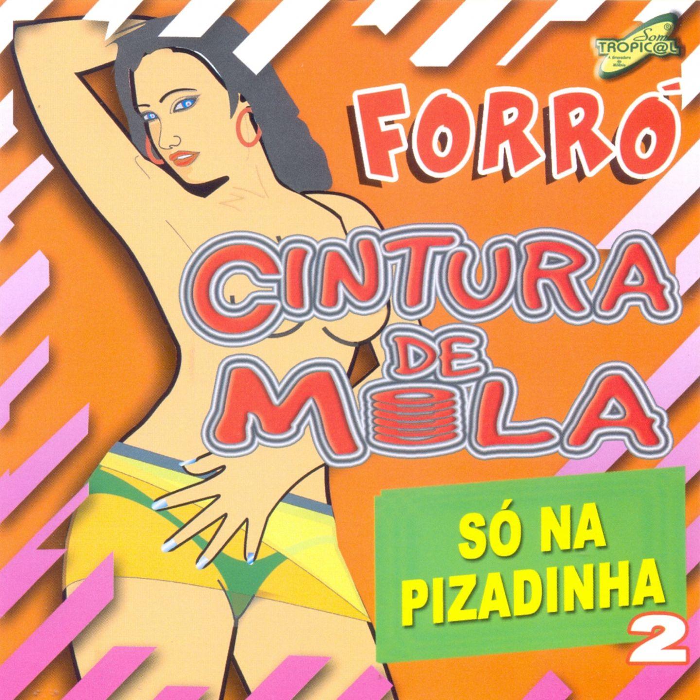 Só na Pizadinha, Vol. 2