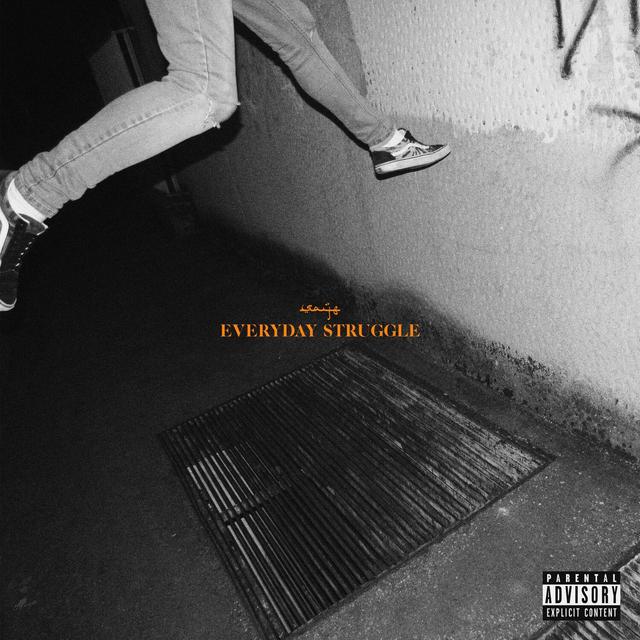 Album cover art for Everyday Struggle