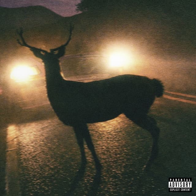 Album cover art for Karma