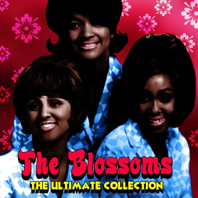 Album cover art for The Ultimate Collection