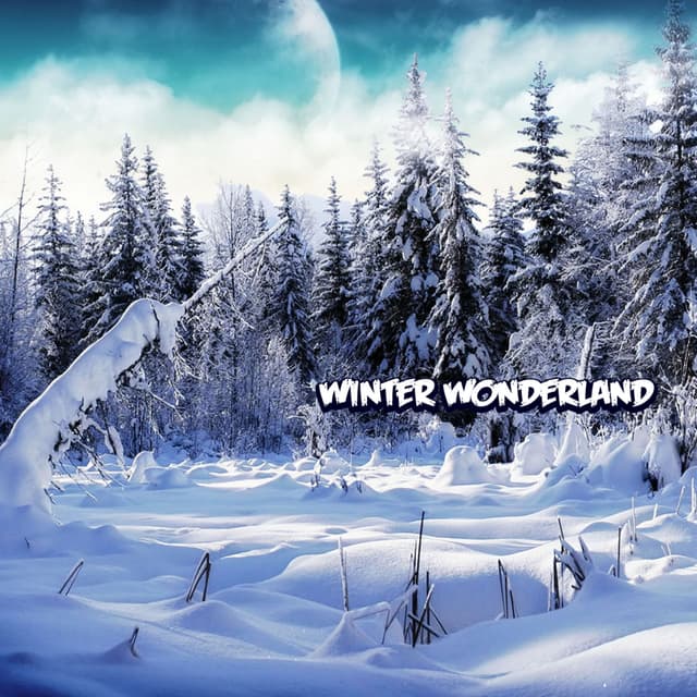 Album cover art for Winter Wonderland