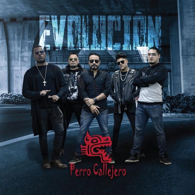 Album cover art for Evolución