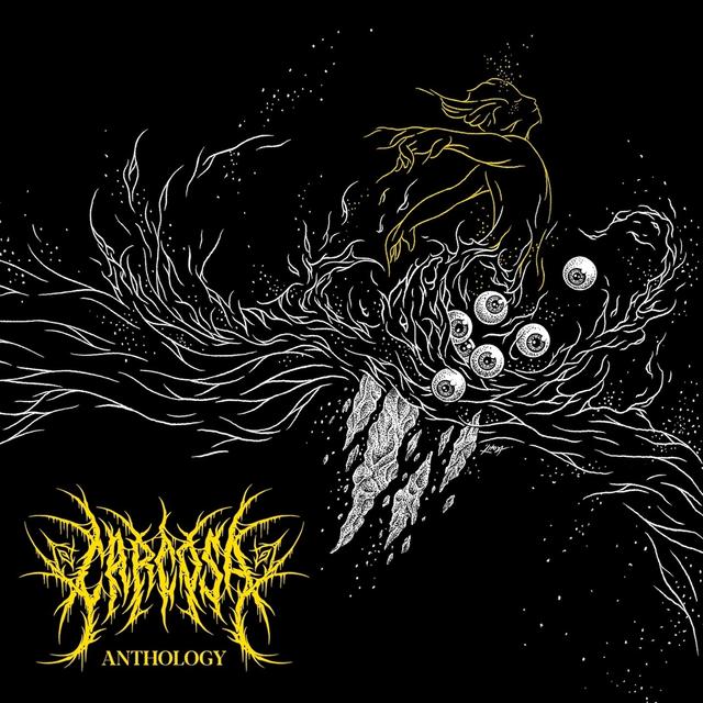 Album cover art for Anthology