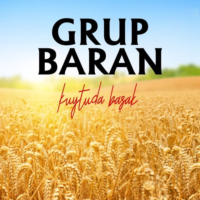 Album cover art for Kuytuda Başak