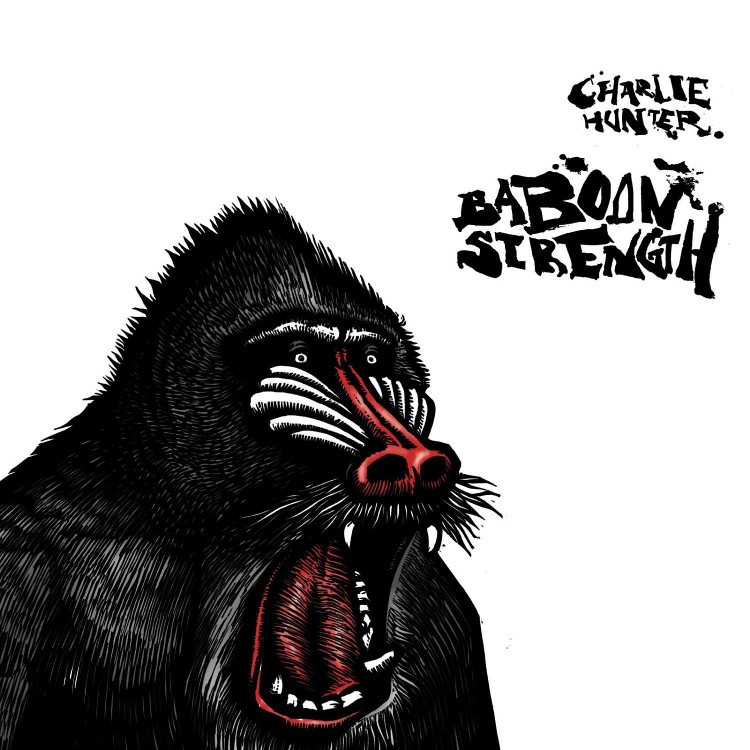 Baboon Strength