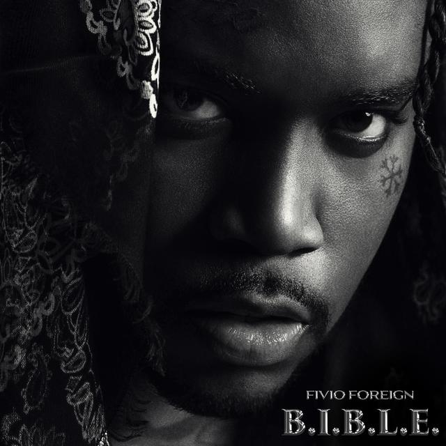 Album cover art for B.I.B.L.E.