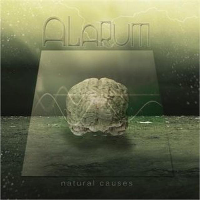 Album cover art for Natural Causes