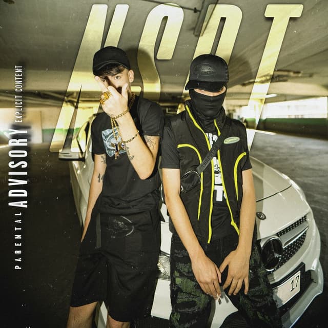 Album cover art for N.S.D.T
