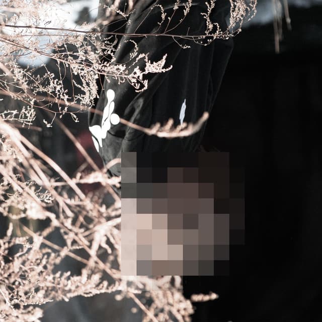 Album cover art for die tomorrow