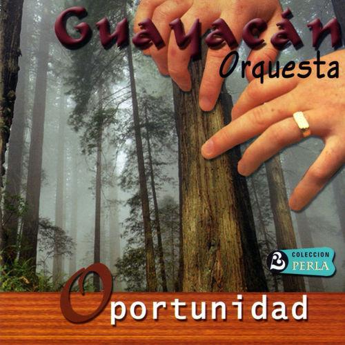 Album cover art for Oportunidad
