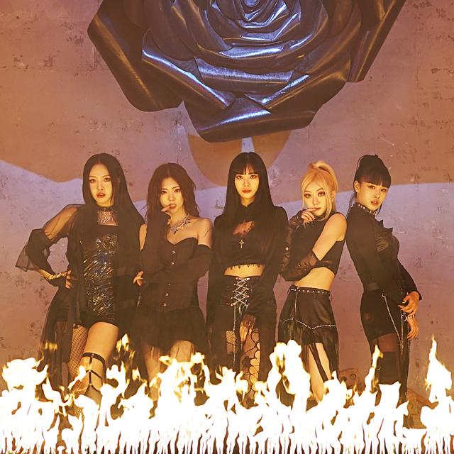 Album cover art for Poison Rose