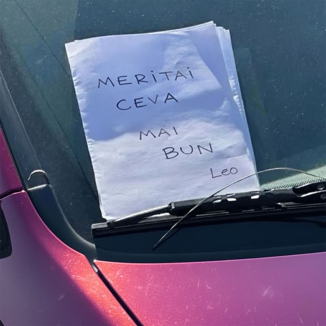 Album cover art for Meritai ceva mai bun