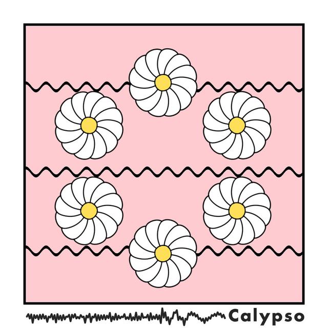 Album cover art for Calypso