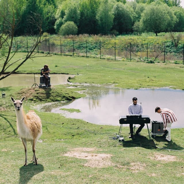 Album cover art for Summer live session