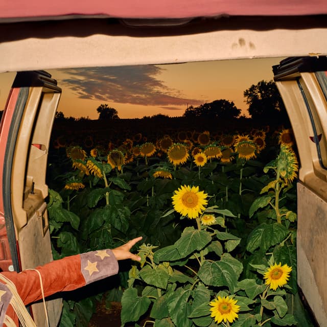 Album cover art for Little Wide Open