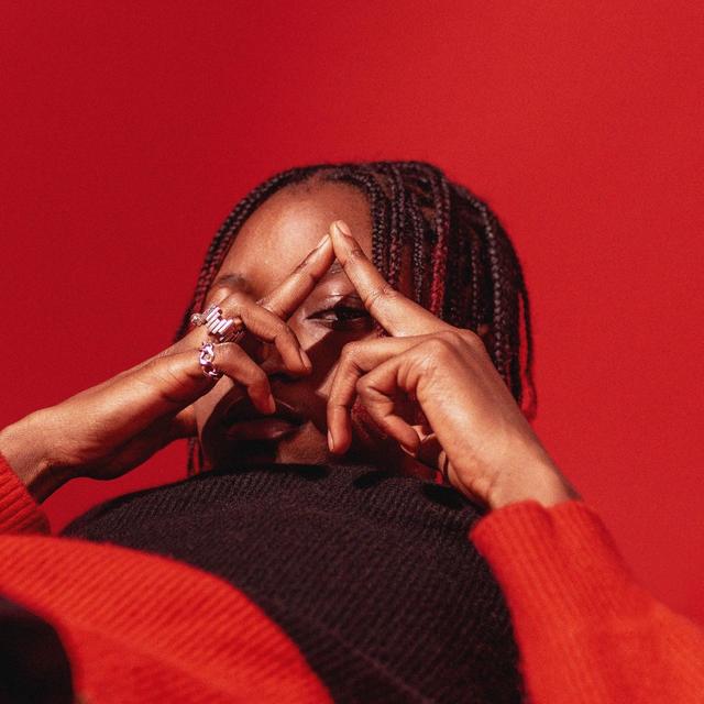 Album cover art for No Panic No Pain