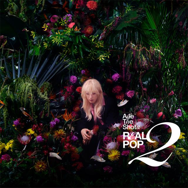 Album cover art for REAL POP 2
