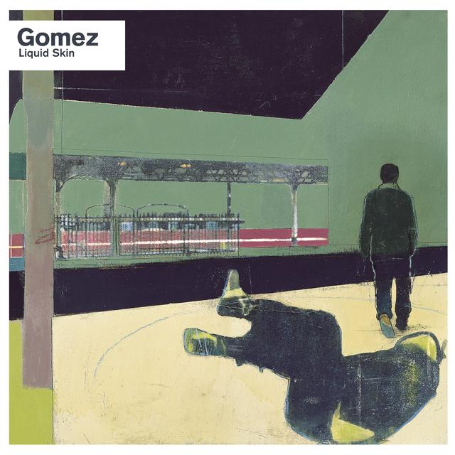 Album cover art for Liquid Skin