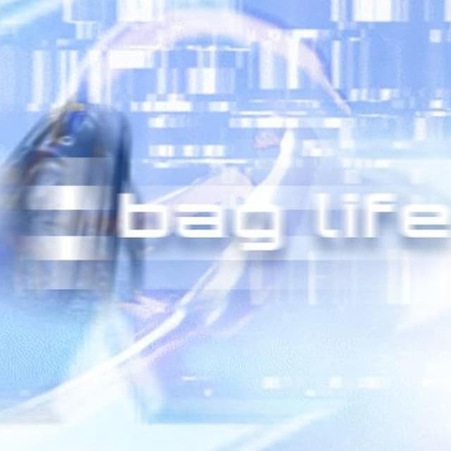Album cover art for BAGLIFE 2