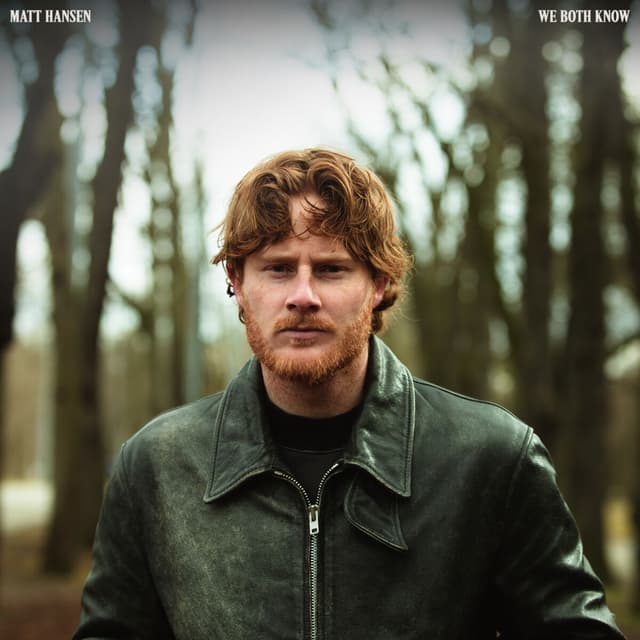 Album cover art for WE BOTH KNOW